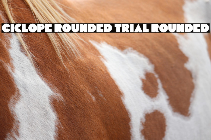 Ciclope Rounded Trial Rounded Example 2