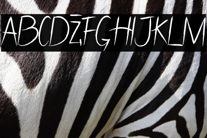 Cifans Bell Demo Example 2