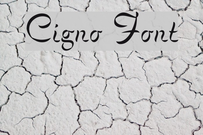 Cigno Font examples