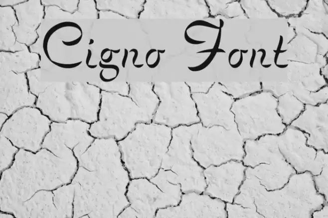 Cigno Font examples