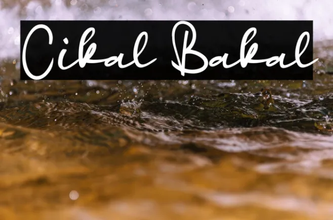 Cikal Bakal Example 1