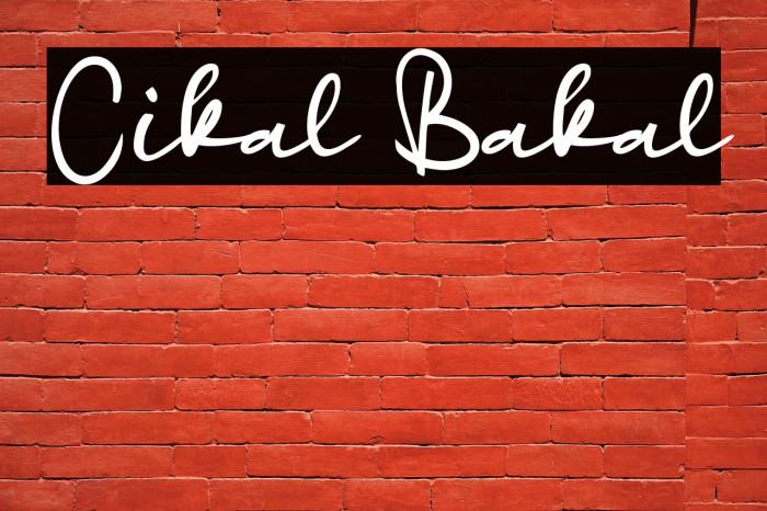 Cikal Bakal Example 2