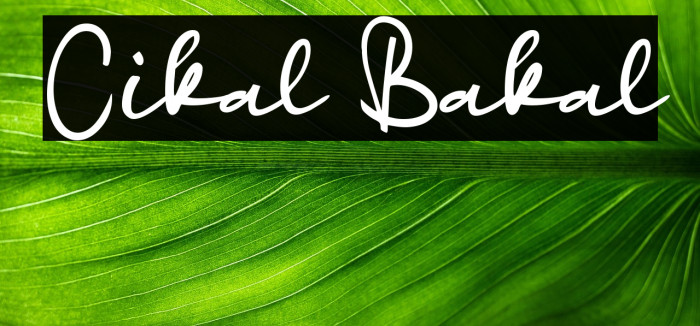 Cikal Bakal Example 3