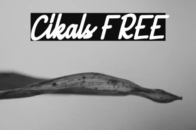 Cikals FREE Font examples