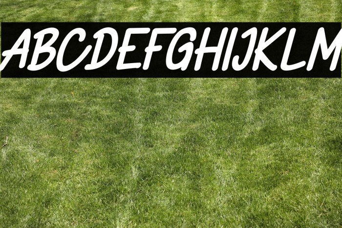 CikalsFREE Example 2