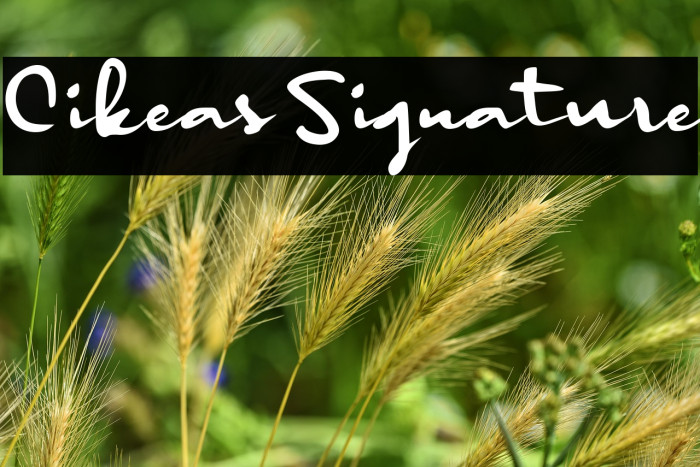 Cikeas Signature Example 1