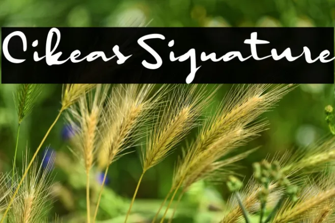 Cikeas Signature Example 1