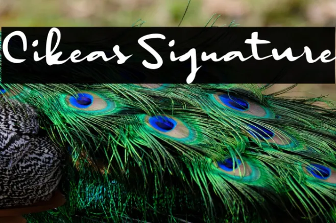 Cikeas Signature Example 2