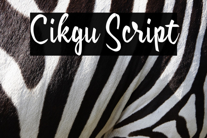 Cikgu Script Example 1