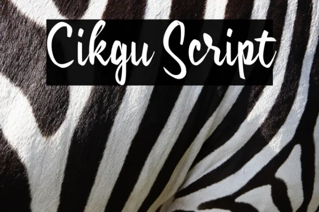 Cikgu Script Example 1