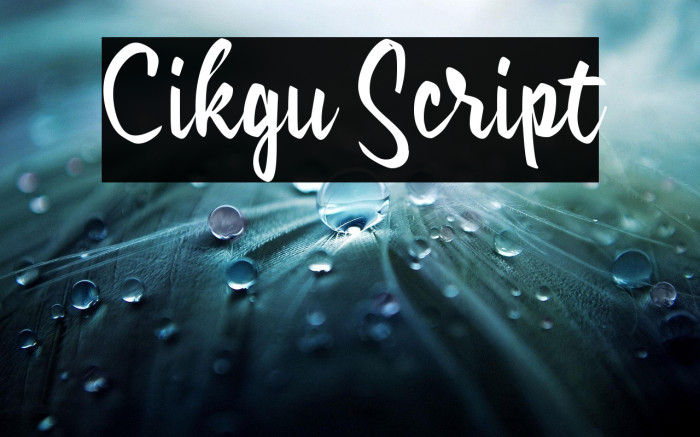 Cikgu Script Example 2