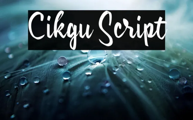 Cikgu Script Example 2