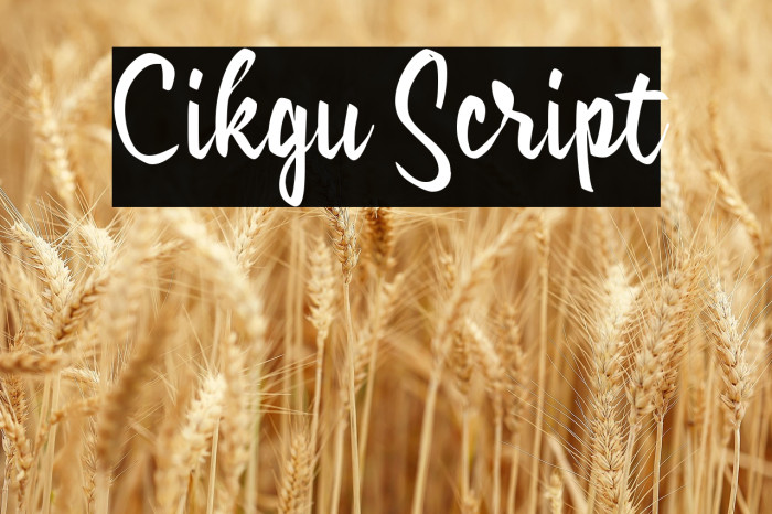 Cikgu Script Example 3