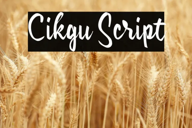 Cikgu Script Example 3