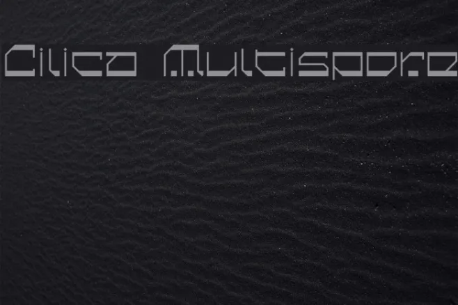 Cilica Multispore Example 1