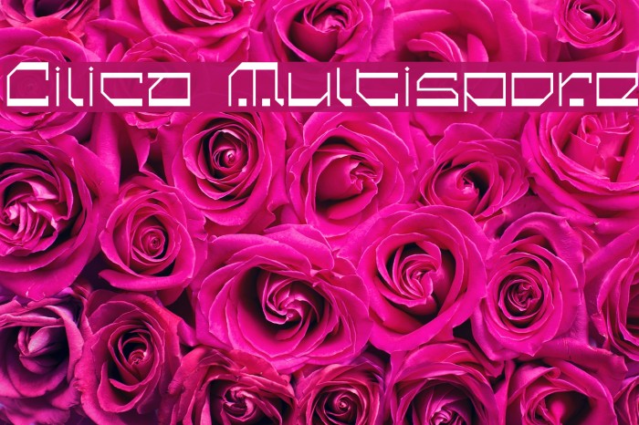 Cilica Multispore Font examples