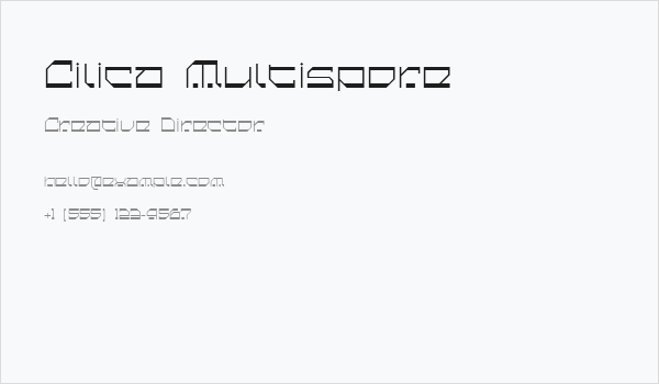 Cilica Multispore Business Card