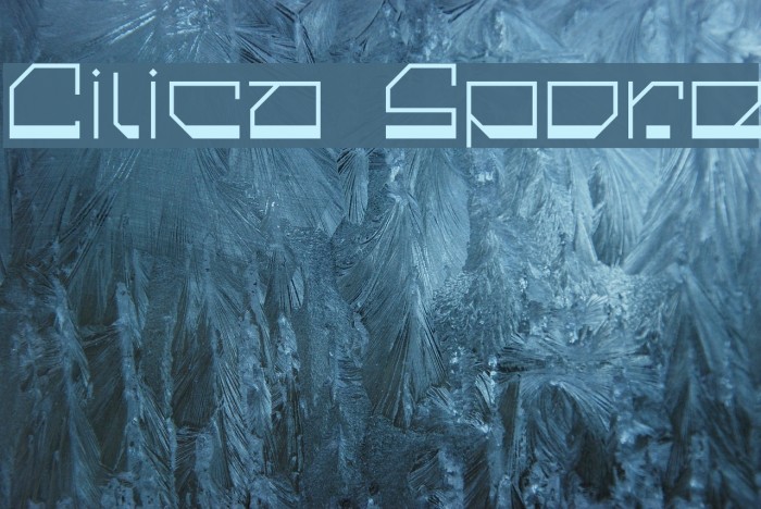 Cilica Spore Font examples
