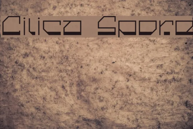 Cilica Spore Example 3