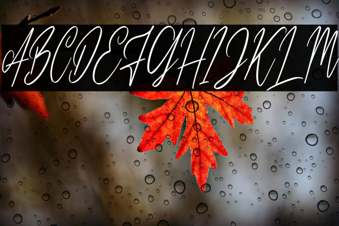 CilladiaSignatureDEMO-Regular Example 3