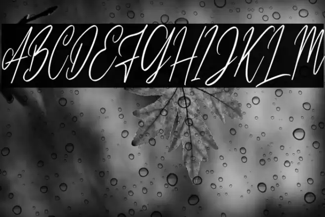 CilladiaSignatureDEMO-Regular Font examples