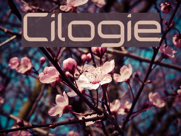 Cilogie Font examples