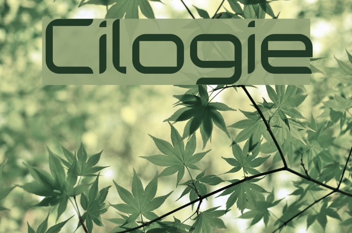 Cilogie Font examples