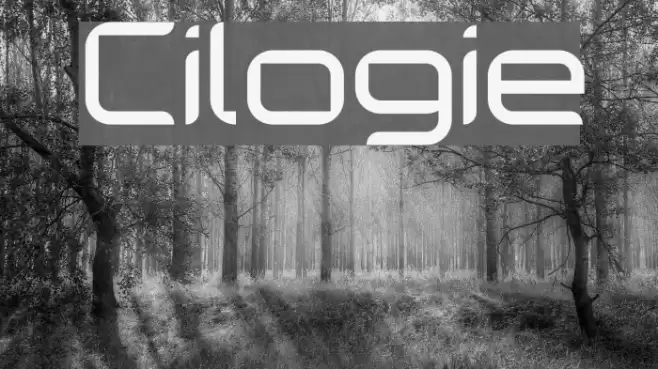 Cilogie Font examples