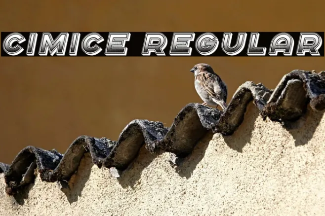 Cimice Regular Example 1