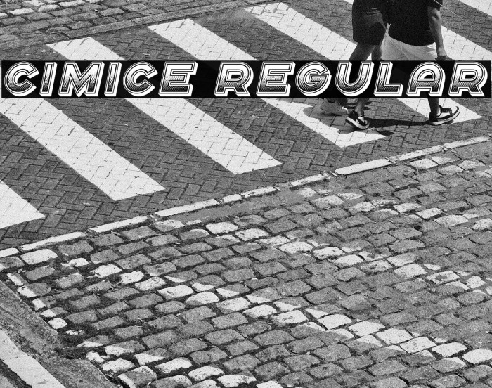 Cimice Regular Example 2