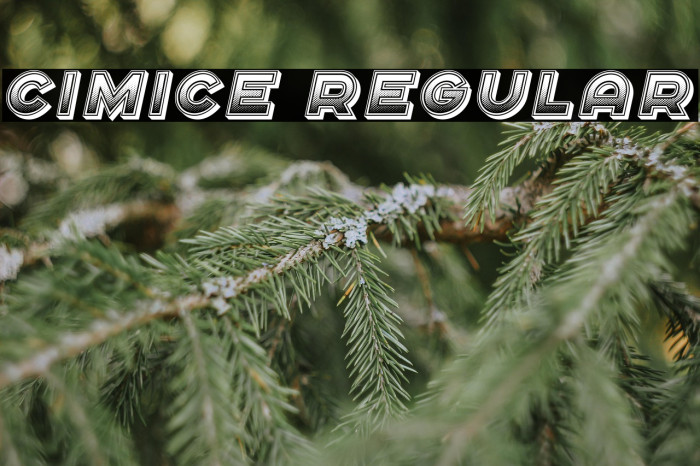 Cimice Regular Example 3