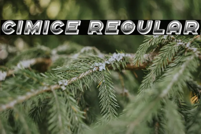 Cimice Regular Example 3