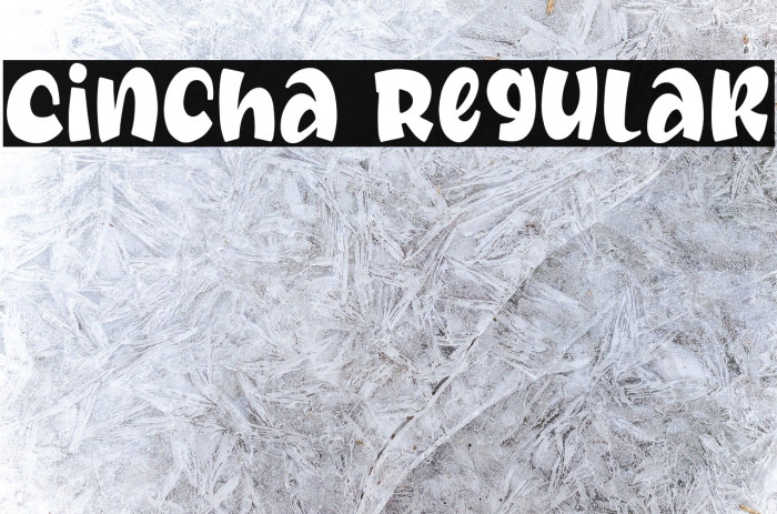 Cincha Regular Font examples