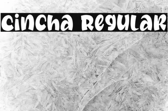 Cincha Regular फ़ॉन्ट examples