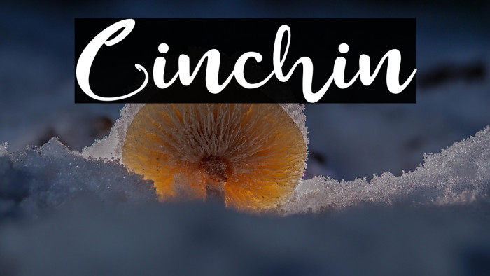 Cinchin Example 3