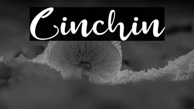 Cinchin Font examples