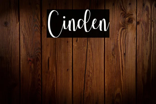 Cinden Example 2