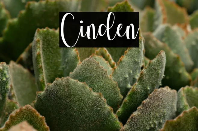 Cinden Example 3