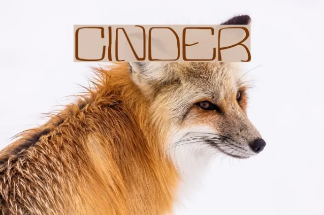 Cinder Example 1