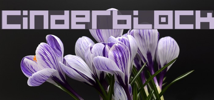 Cinderblock Font examples