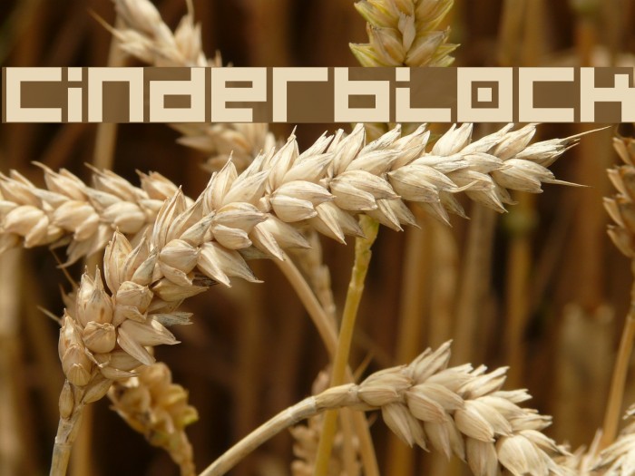 Cinderblock Font examples