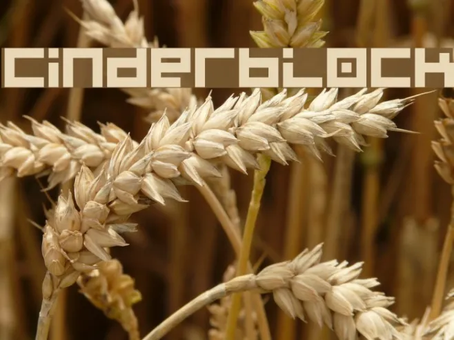 Cinderblock Example 2