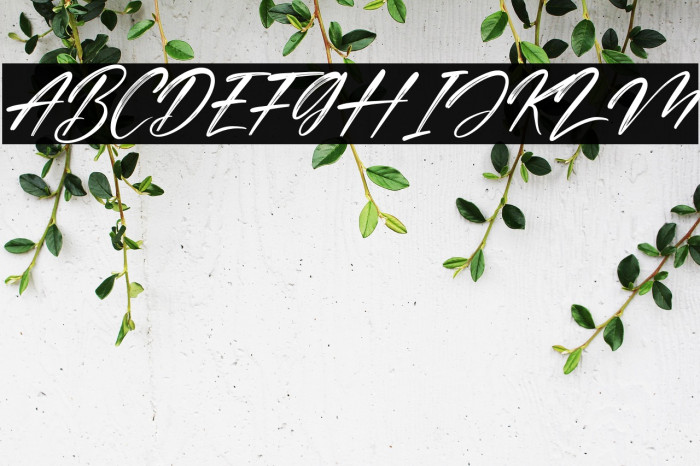 Cinderela Italic Example 2