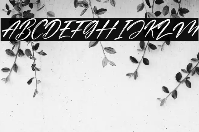 Cinderela Italic Font examples