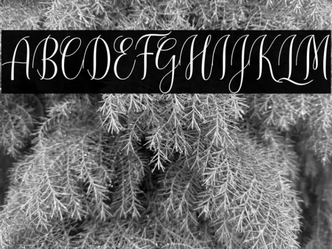 CinderellaScript Font examples