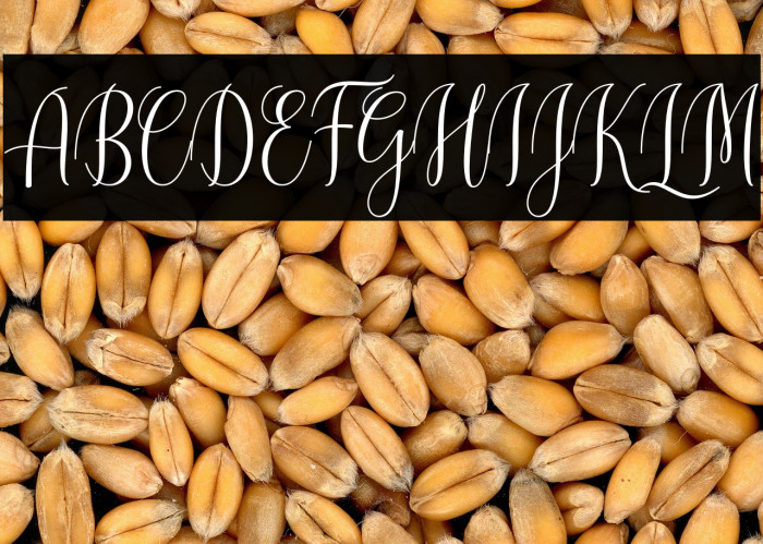 CinderellaScript Example 1