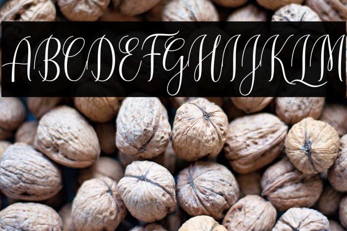 CinderellaScript Example 3