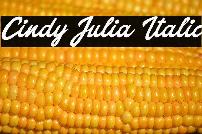 Cindy Julia Italic Example 2