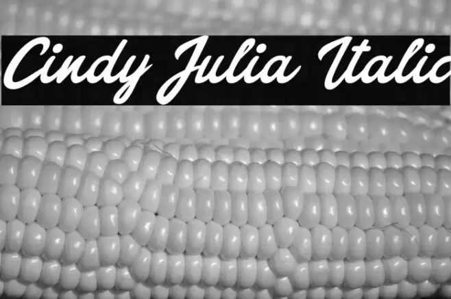 Cindy Julia Italic Font examples