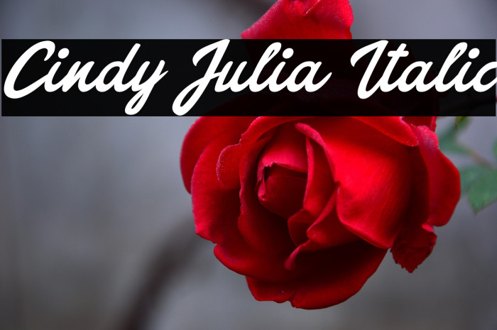 Cindy Julia Italic Example 3
